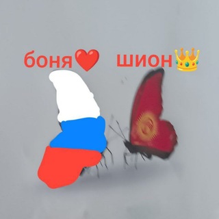 @s_shi0n