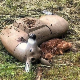 𝙈𝙮𝙎𝙚𝙡𝙛,