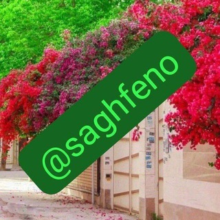 saghfeno🏠
