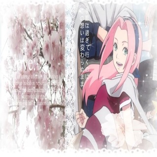 @Sakurka3