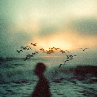 @salix_almaz