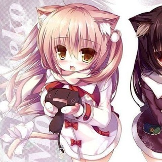 @sanchhnn