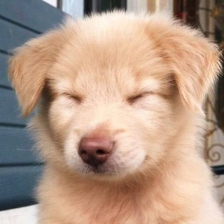@Saneo_oreo
