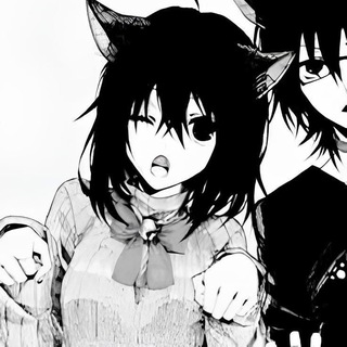 @sarqveil