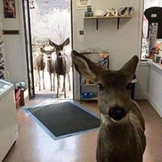 @savemeplz7