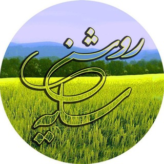 @sayeroshankeshavarzi