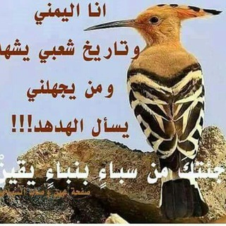 @sbahit