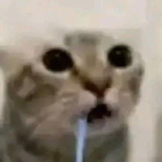 @scmissile
