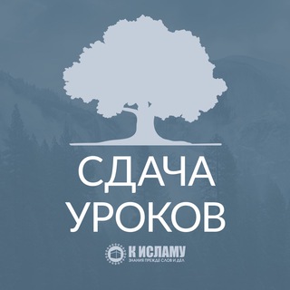 @sdacha_urokov
