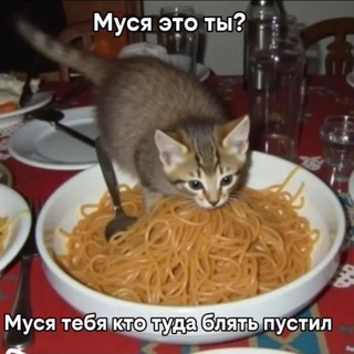 @Sdfhbkvuhre