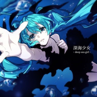 @sealogic1234