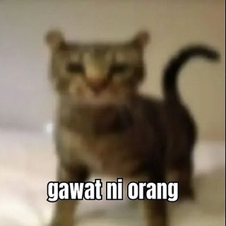 @seanprem