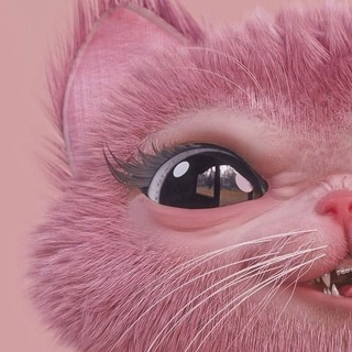 @SeenTh1sAng3ll