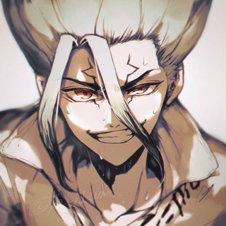 @Senku_Ishigamiii