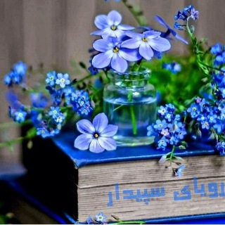 🕊رویای سپیدار🧚‍♀️