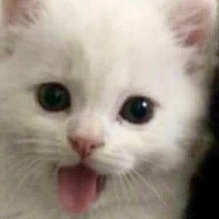 @serein5267