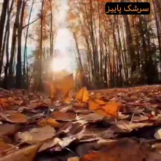 #سرشک پاییز
