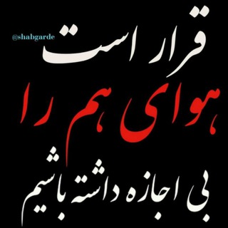 📖 شبگرد 🎻 📷