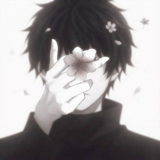 @shadow_kycb