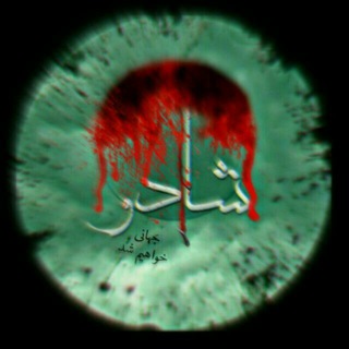 sʜᴀᴅᴏᴡ➲ɴᴇᴡs.ғ