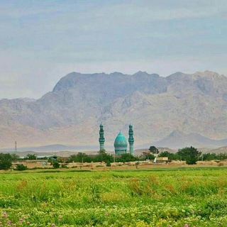 کانال شفیع آباد