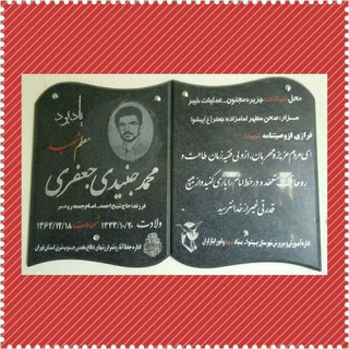 @shahedmohammadjoneidipishva