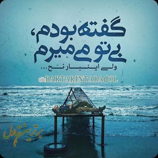 @shahesayberi