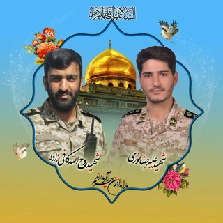 @shahid_alireza_nouri