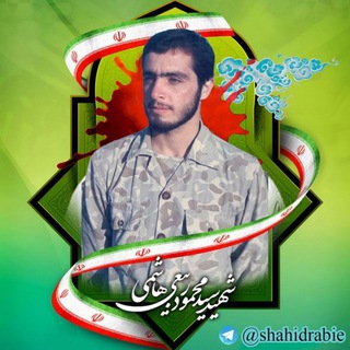 شهید سید محمود ربیعے هاشمے