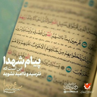 اَینَ عَمّار؟!!!