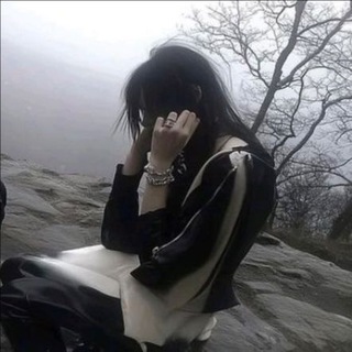 @shaimoo1