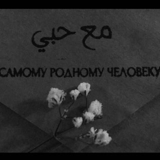 Org: @Sham1ddinov_N