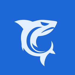 SHARK Agency | Продвижение