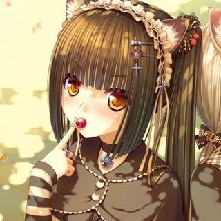 @sheffNYAN