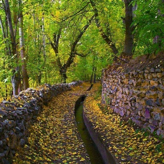شعر،فیلم،موسیقی