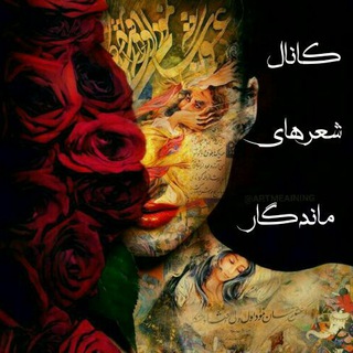 @sher_mandgar