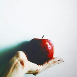 @sher_moshaere