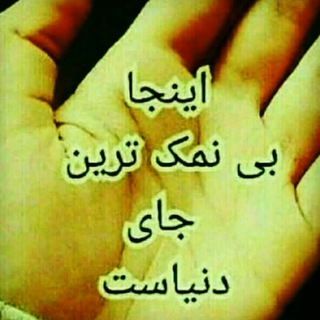 Telegram contact with @sheypoorkhooy 🦴شیپور خوی