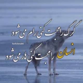 @Shgza