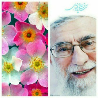 🌸 شیـــعه آنـــلاین@ 🌸