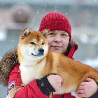 @shiba_dzembi_kennel