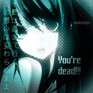 @shionchek