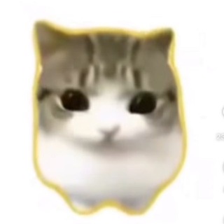 @shiyx9