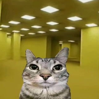 @shkola_nooooooo