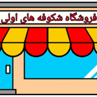 @shokoofehayeavalistore