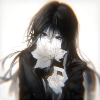 @shonary