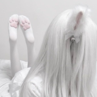 @shonpet