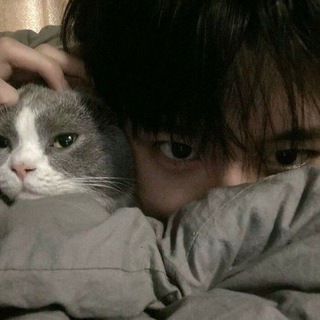 @shoto_kun