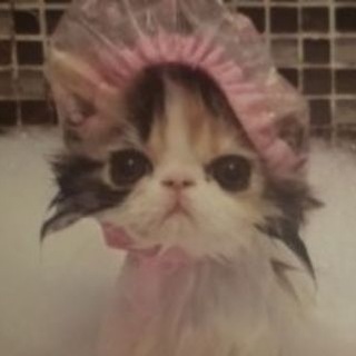 @shpkamilfa