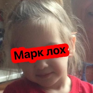 @Shrak_46